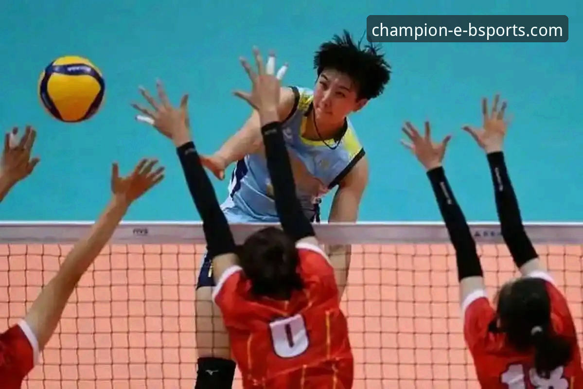 b体育平台正规性解析与实用指南：资深用户老周的经验分享